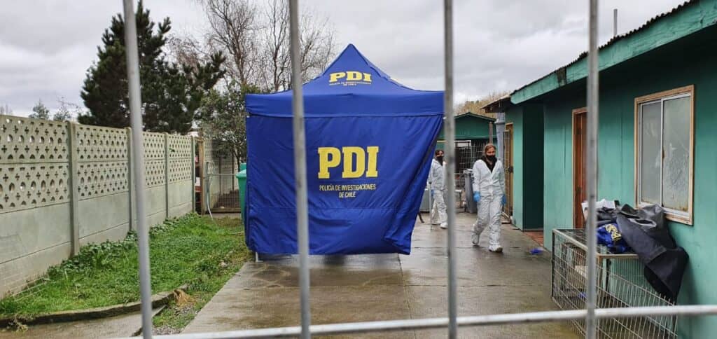 Municipio de Curicó sancionó a funcionarios sumariados por casos de maltrato animal en canil