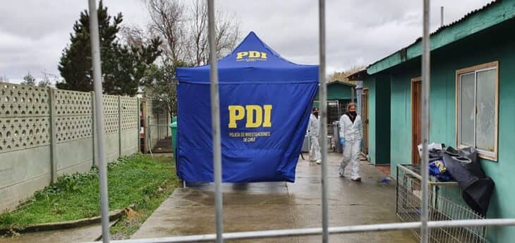 PDI realiza diligencias en canil municipal tras muerte de mascota