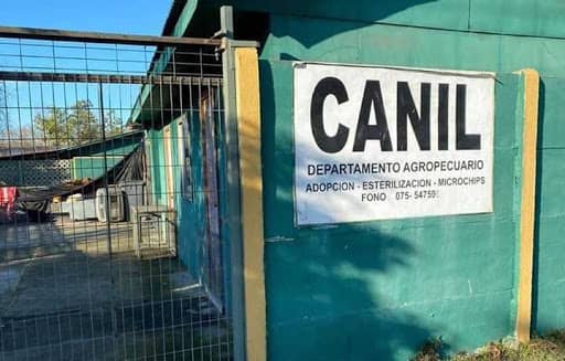 Empresa Futuro se adjudica construcción de clínica veterinaria y caniles en Curicó