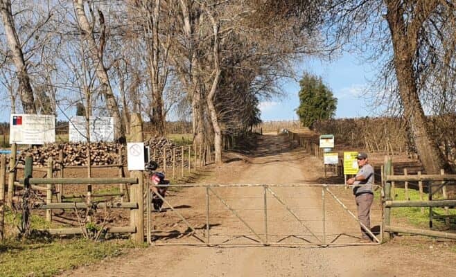 Trabajador falleció en accidente laboral en Fundo Los Pretiles de Molina