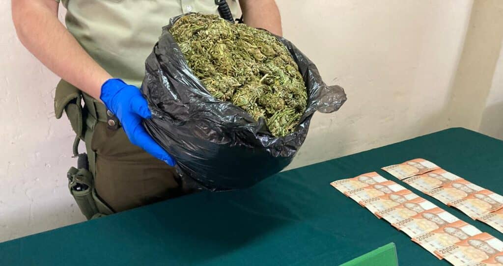 Carabineros detuvo a dos sujetos por tráfico de drogas en Curepto