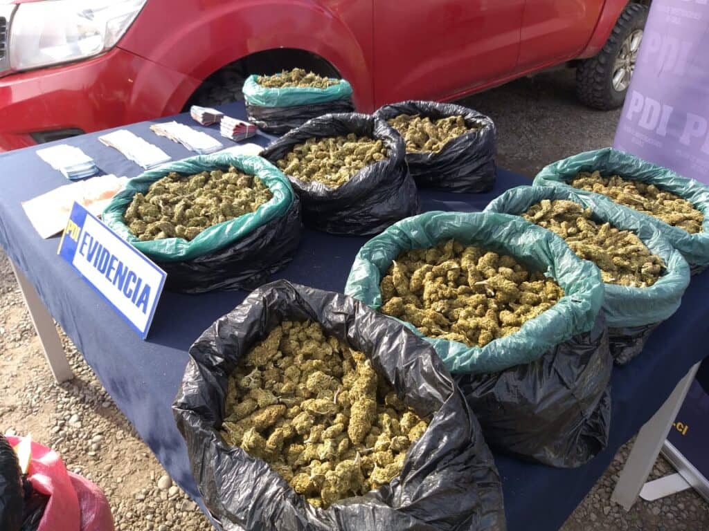 PDI incautó 15 kilos de marihuana y detuvo a tres personas en Teno