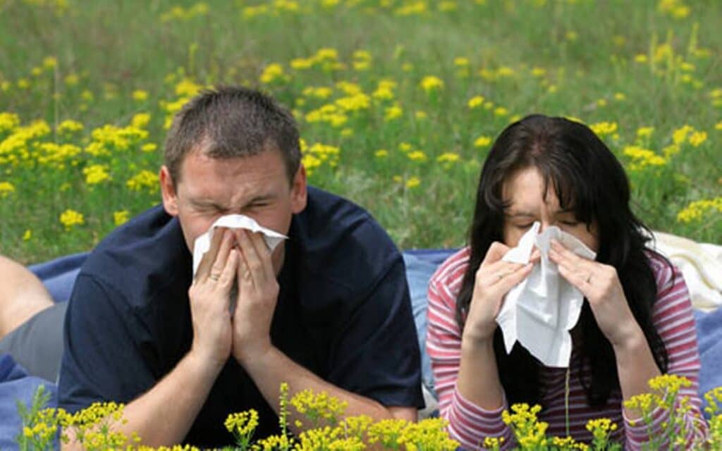 ¿Cómo no confundir la alergia con COVID-19?: Experta explica diferencias