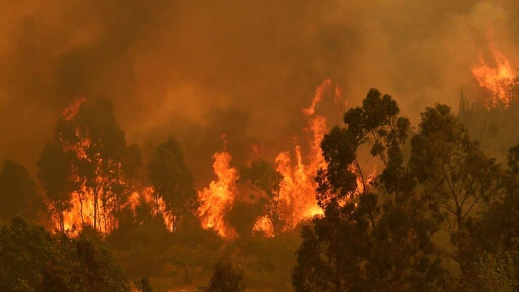 Fiscal especializado en incendios comunicó que el origen del fenómeno en Quilpué ya fue controlado