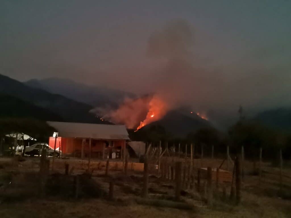 Dirigenta vecinal acusa intencionalidad en incendio forestal de Lomas de Huemul