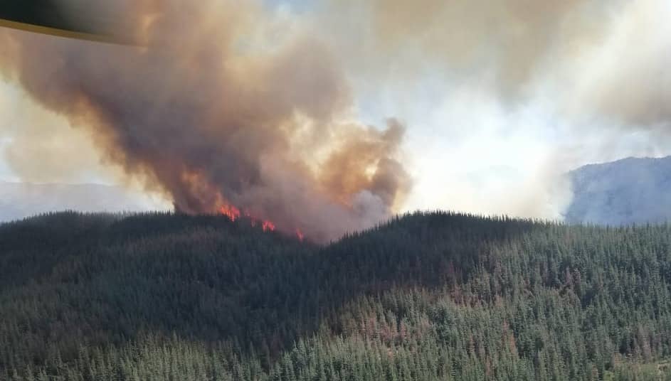 Intendencia de O'Higgins declaró alerta roja por incendio forestal en San Fernando