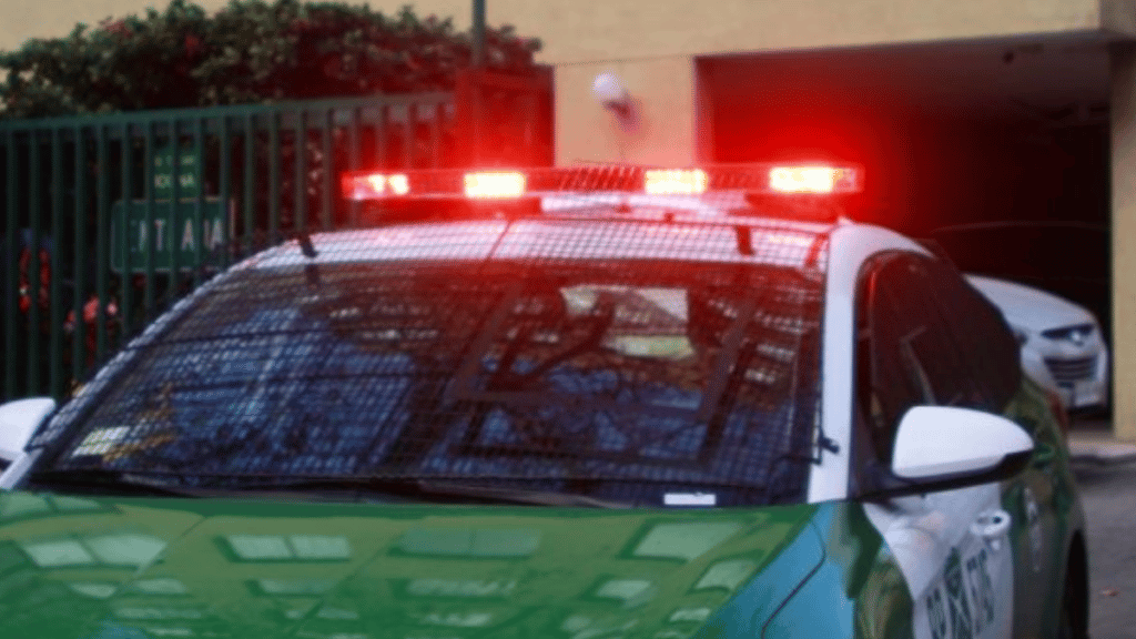 Las Condes: nueva fiesta clandestina dejó a tres detenidos, quienes golpearon a carabineros