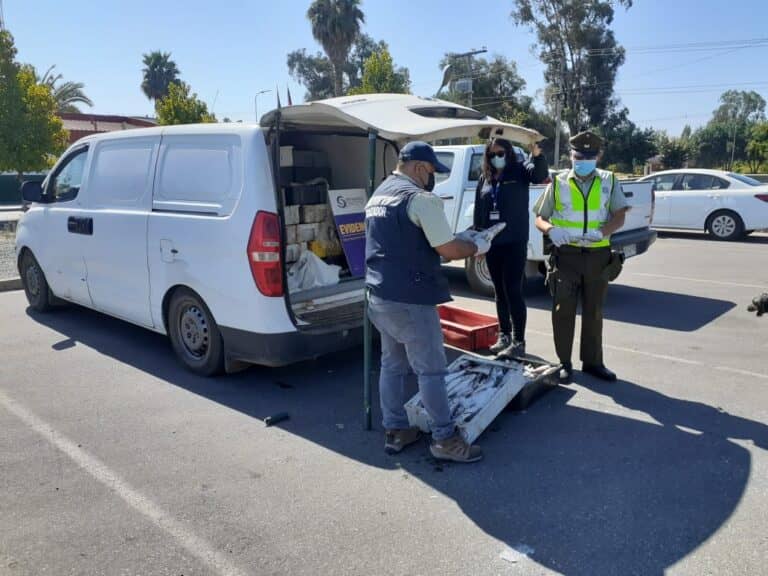 Operativo concluye con detección de 1.800 kilos de merluza común ilegal en Maule