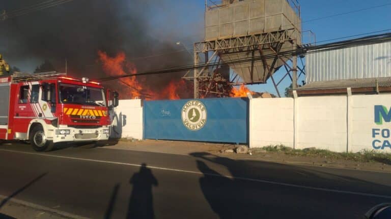 Incendio afectó instalaciones de empresa Maderas Valdivia en Curicó