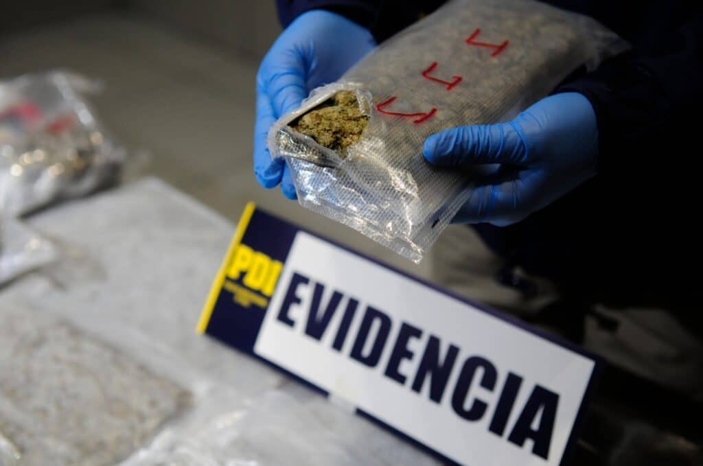 PDI detiene a sujeto que transitaba en la vía pública con dos plantas de marihuana