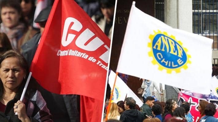 Huelga sanitaria 30 de abril: ANEF, Colegio de Profesores y ACES confirmaron su adhesión