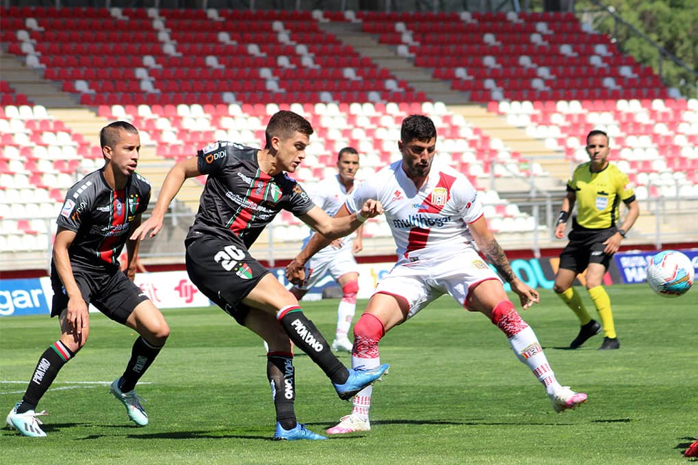Palestino vs Curicó Unido podría jugarse con público en La Cisterna