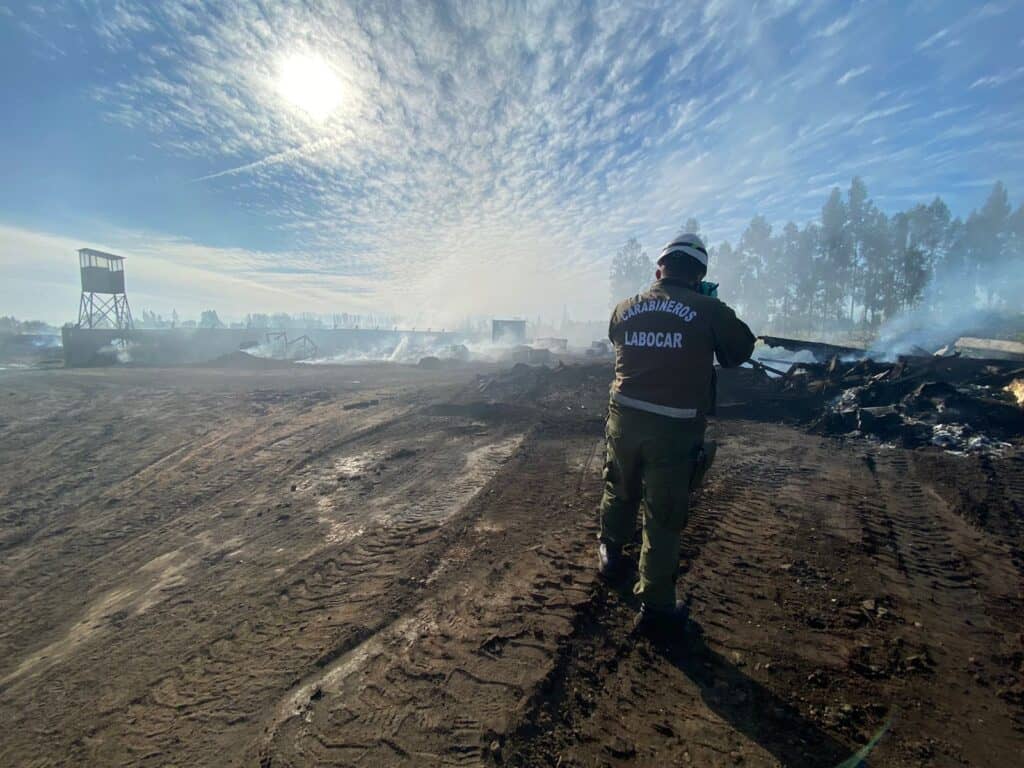 Informe de Labocar cifra en 40 mil los bins quemados en incendio de Agrozzi y no se descarta negligencia