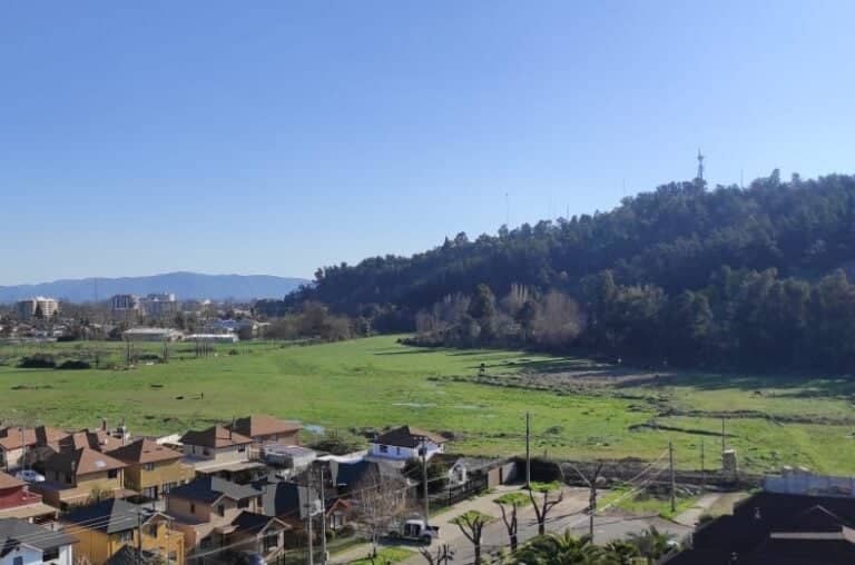 Concejal Sanz pidió a alcalde de Curicó oficiar al Ministerio de Medio Ambiente por humedal del Parque Cerro Condell