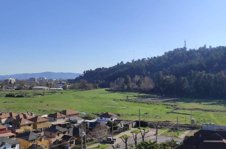 Concejo Municipal declaró apoyo a preservación de humedal urbano del Parque Cerro Carlos Condell