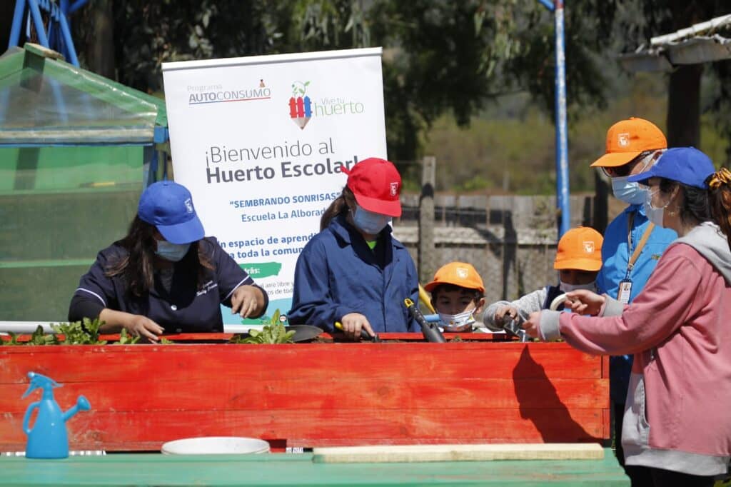 Escuela La Alborada de Rauco inició plantación de huerto escolar