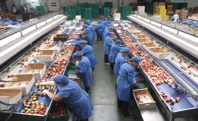 Municipio de Curicó prepara nueva Expo Empleo 2021