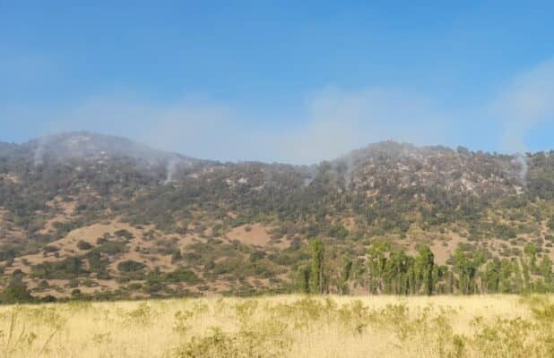 Incendio forestal en Sagrada Familia ha consumido 30 hectáreas en sector Los Maquis