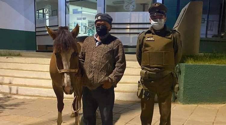 Detienen a dos hombres por robo de un caballar