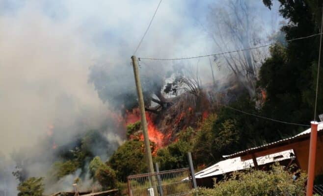 Incendio forestal afecta a sector Los Maquis de Romeral