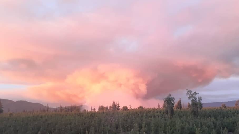 Incendio forestal en sector de Chequenlemu afecta 150 hectáreas de bosque