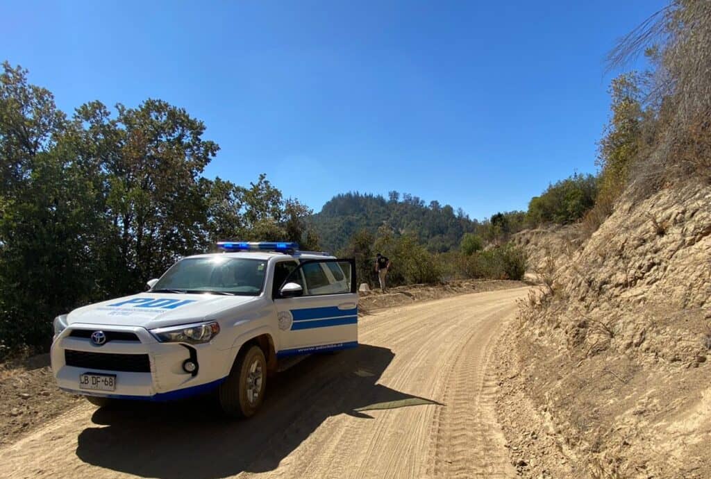 Osamentas encontradas en sector El Peumal de Romeral corresponden a un animal