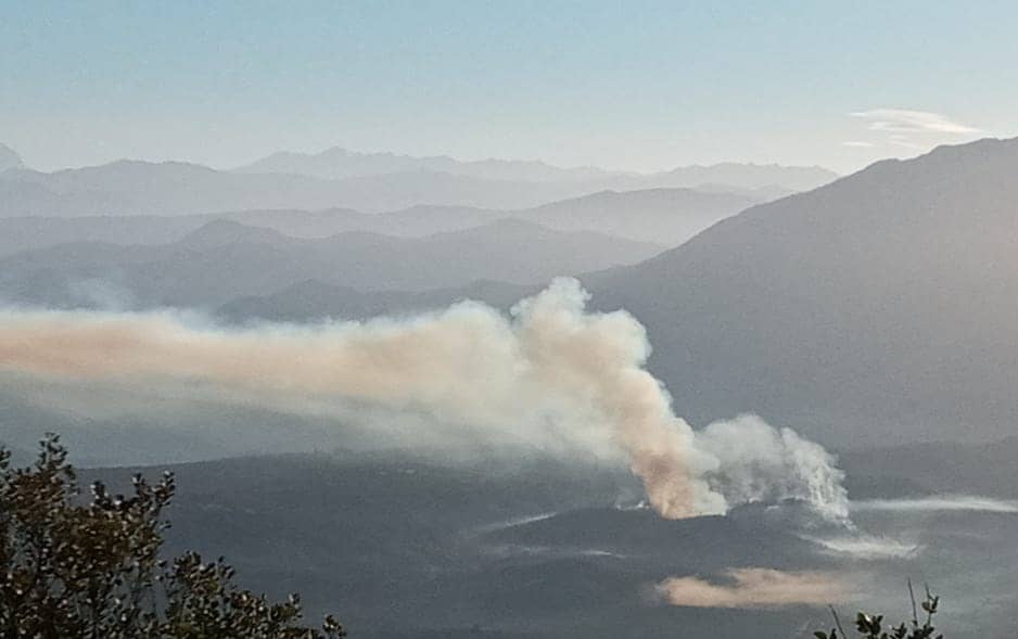 Bomberos combate incendio forestal en la precordillera de Curicó