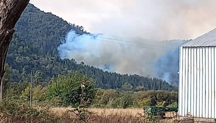 Hallan osamentas en sitio de incendio forestal en Chequenlemu