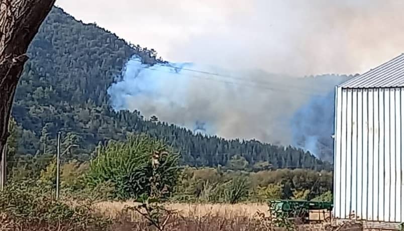 Hallan osamentas en sitio de incendio forestal en Chequenlemu