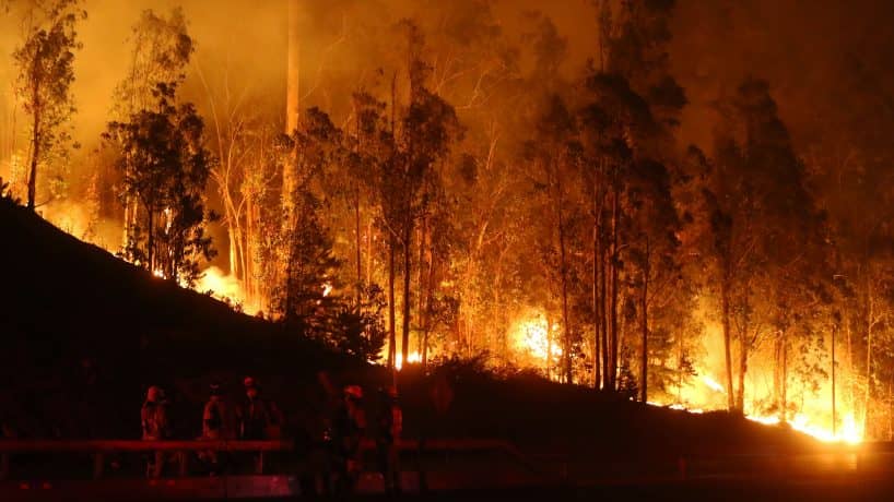 Incendio en Valparaíso consume 300 hectáreas y avanza a zonas pobladas