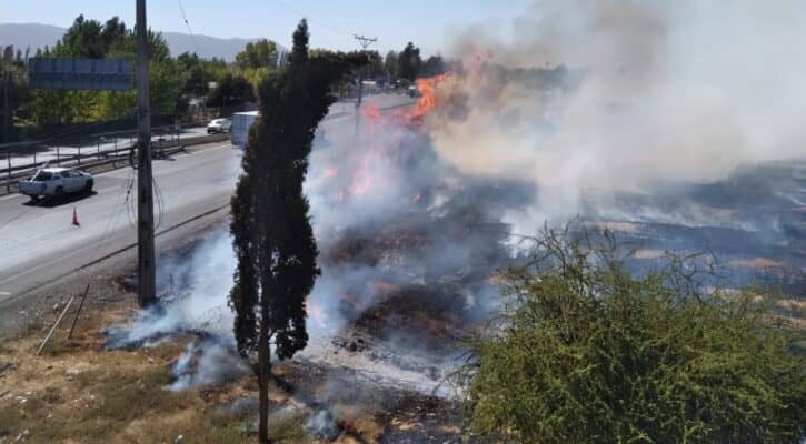 Carabineros detuvieron a sujeto que generó incendio intencional en la Ruta 5 frente a Morza