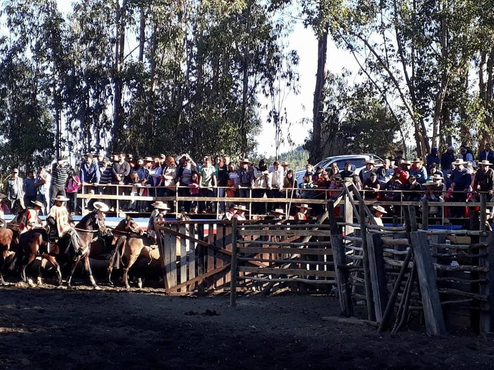 Este sábado vuelve a La Quirigua de Vichuquén la gran fiesta del Día del Trabajador