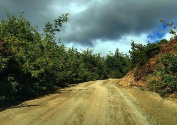 Dirección de Vialidad inició trabajos en la Ruta J-80 que une a La Higuera con Llico