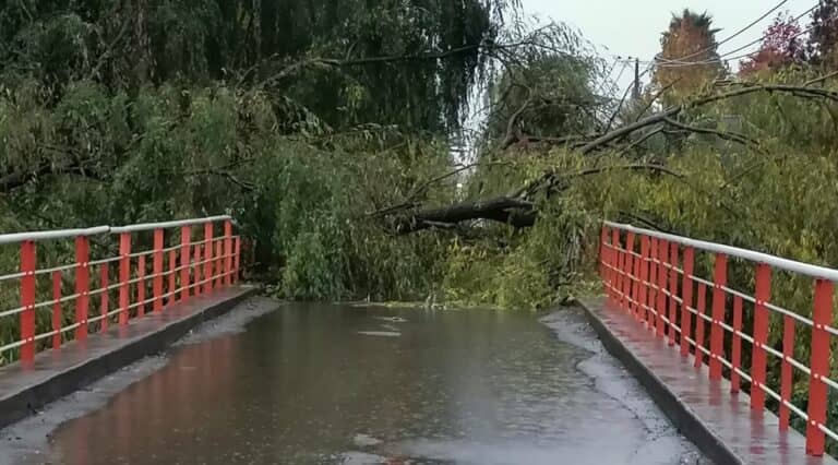 Sistema frontal en el Maule causó cortes de energía y deslizamientos de tierra