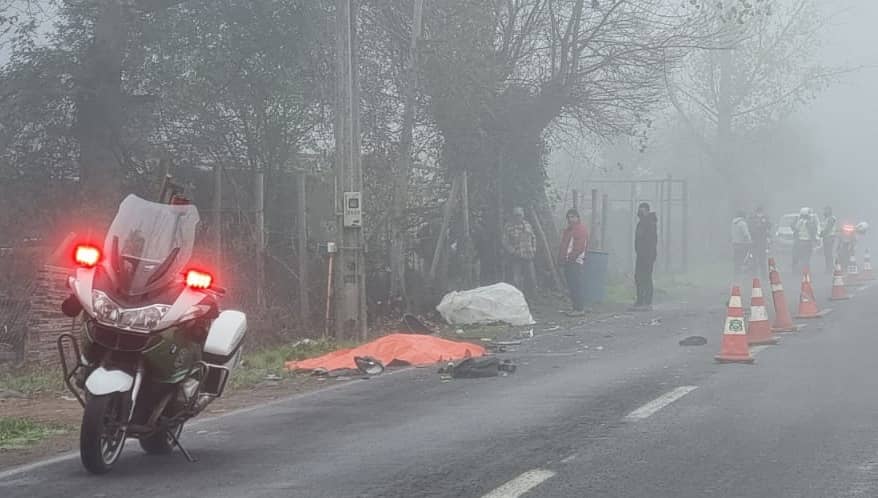 Conductor de motocicleta murió tras colisión en camino a sector Zapallar de Curicó