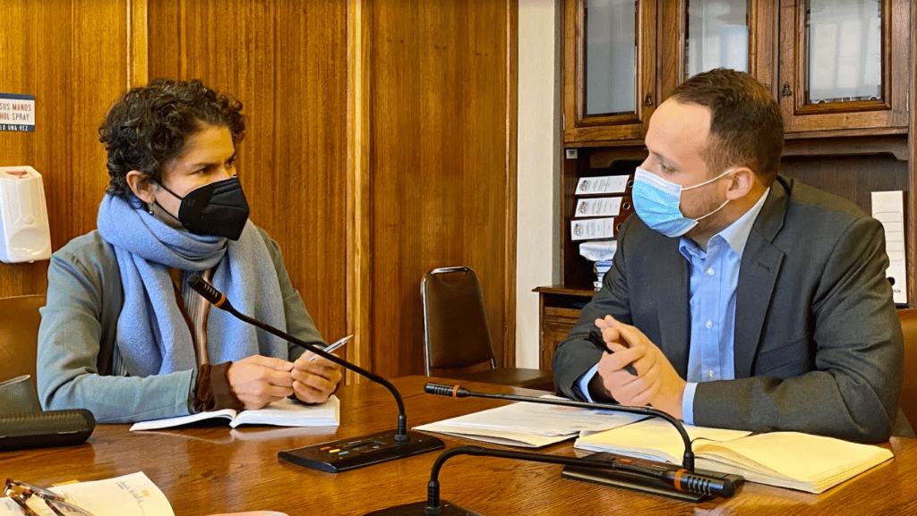 Ministra del Medio Ambiente revisará Plan de Descontaminación Atmosférica de Talca y Maule
