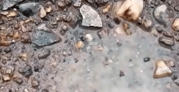 Insólito afloramiento de agua caliente cerca del mar en Llico