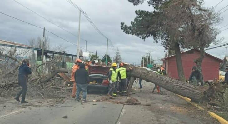 SIAT de Carabineros investiga muerte de mujer por caída de árbol sobre automóvil en Romeral