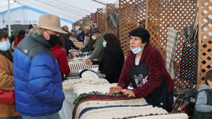 Expo Invierno de Curepto contó con apoyo del CRDP del Maule