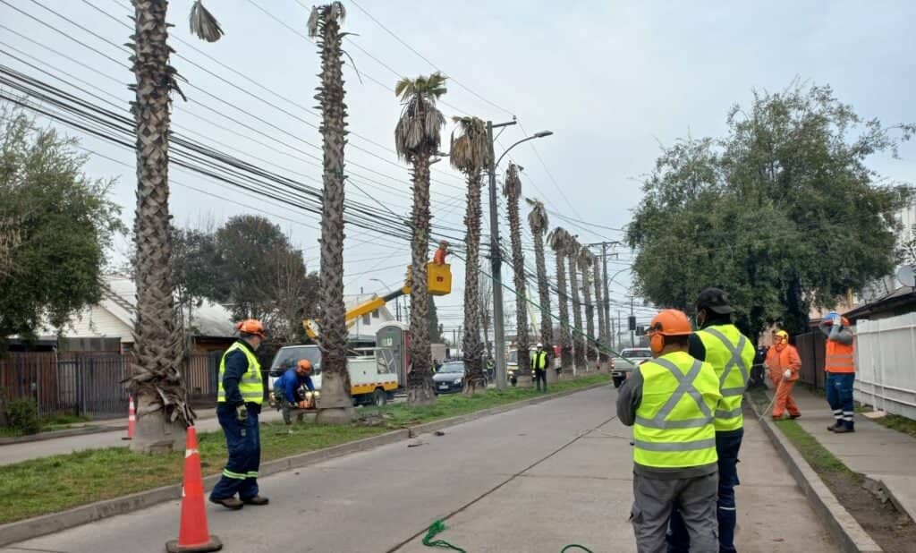 Municipio de Curicó continúa intervención en bandejón central de la Villa Galilea