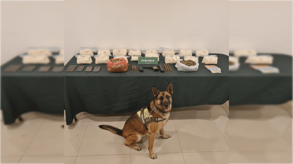 Traficantes son detenidos con más de 15 kilos de pasta base en el peaje Quinta