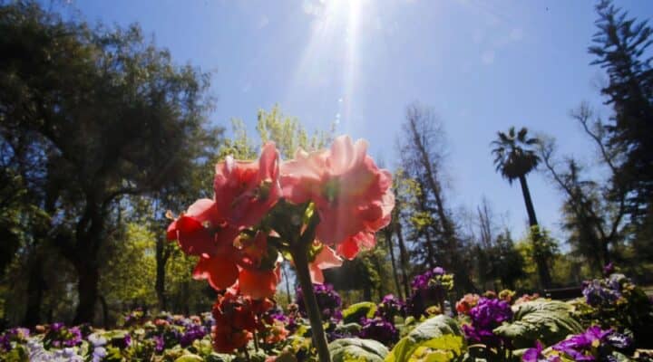 Este jueves termina el invierno y comienza la primavera