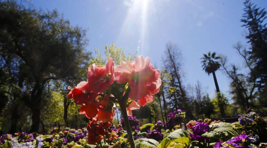 Este jueves termina el invierno y comienza la primavera