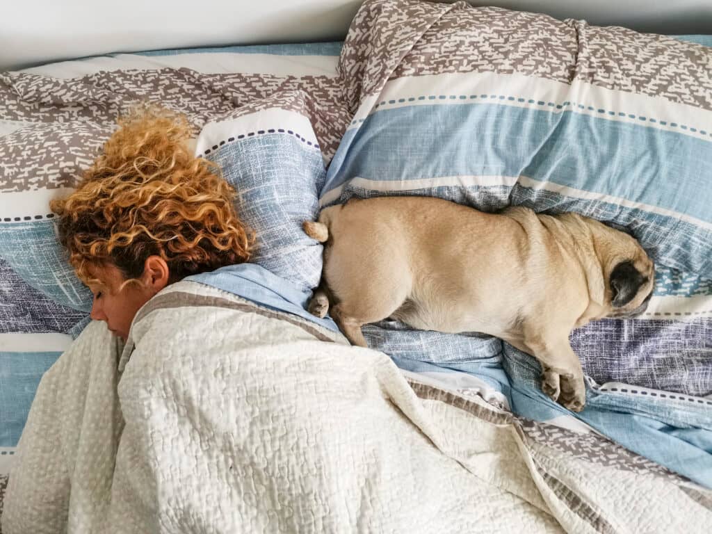 ¿Duermes con tu mascota? Estudio revela que podría ser beneficioso para un buen descanso