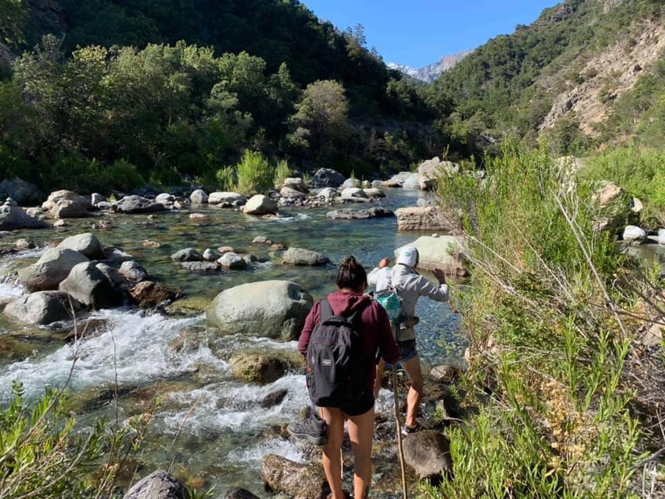 Gobierno Regional encabezará mesa de conservación “Bellotos del Sur” en Linares