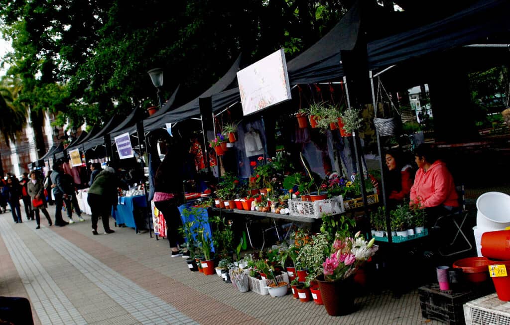 Feria inclusiva "Curicó sin Barreras" estará hasta este miércoles en la Plaza de Armas