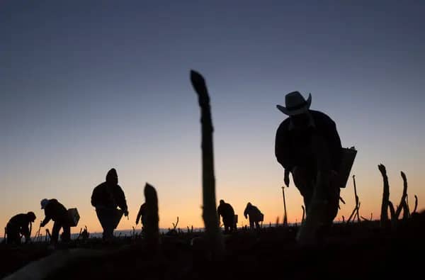 Dirigente vecinal de Romeral denuncia a contratista por abuso laboral contra migrantes