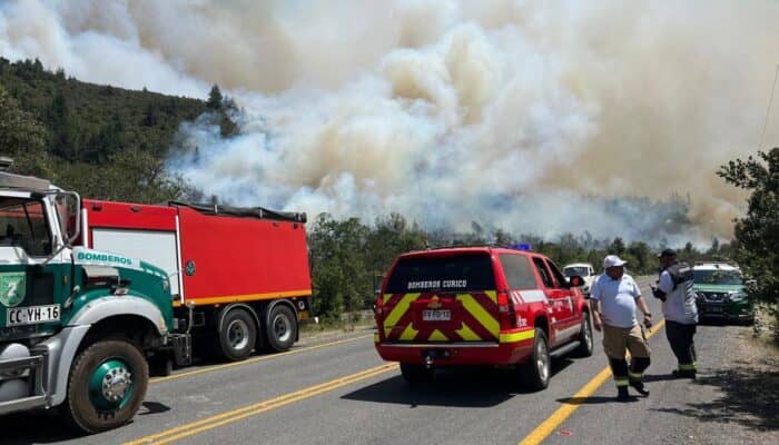 Devastador incendio forestal ha consumido 3 mil hectáreas en Molina y Río Claro