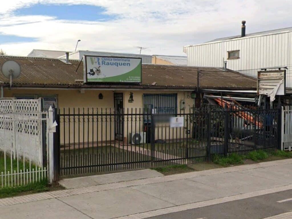 Encuentran muerto a propietario de “Veterinaria Rauquén”