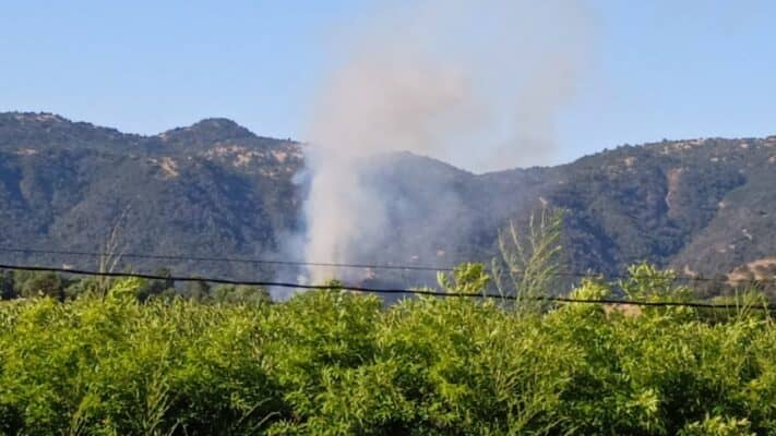 Mujer es detenida por causar incendio forestal en Teno